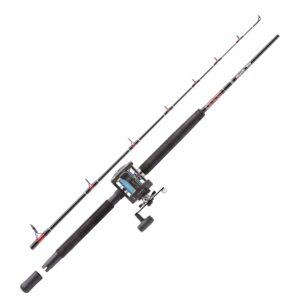 Bass