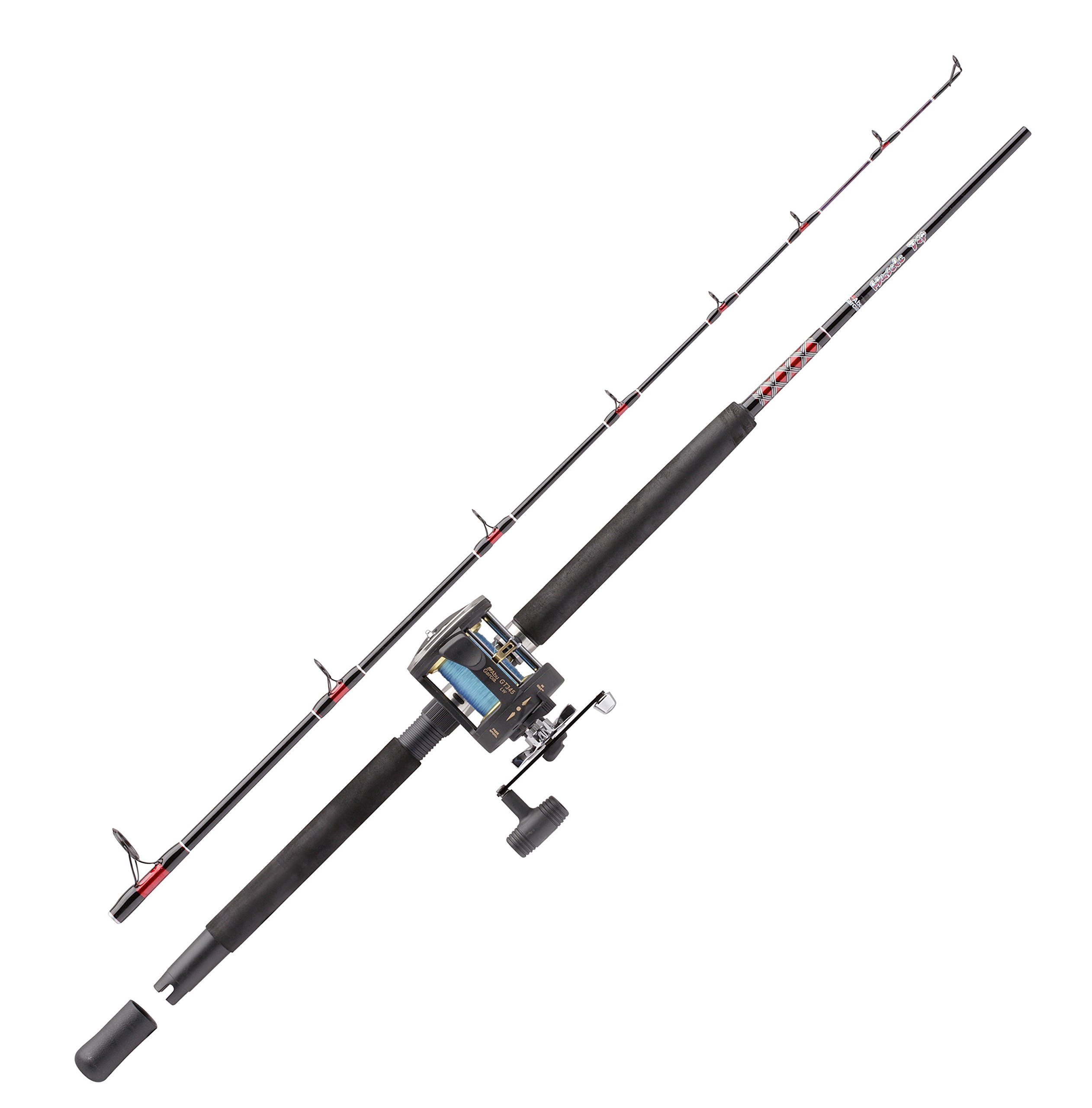 Bass