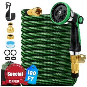 100Ft Expandable Garden Hose