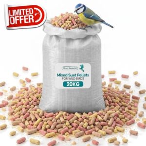 20 KG Berry Mix Suet Pellets for Wild Birds Food