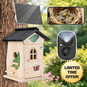 Smart Bird Box with Camera - AI Identify Birds Species