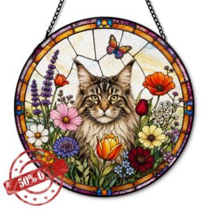 1290-RYSG-Maine Coon