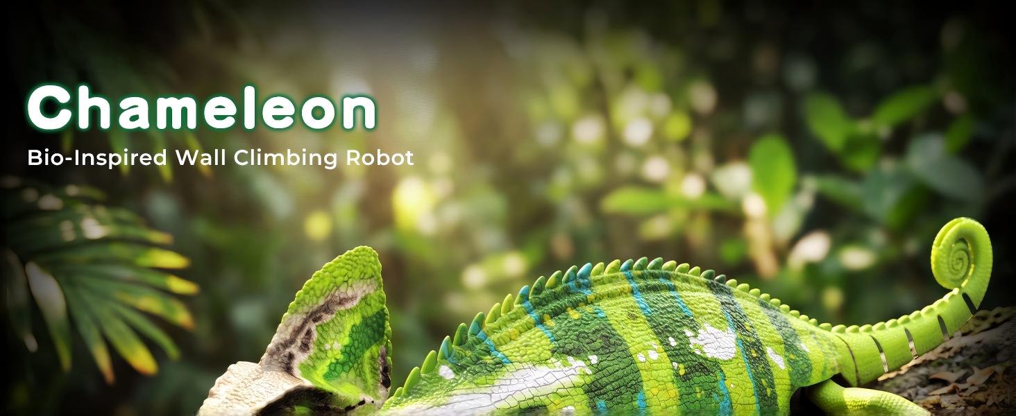 Text reads 'Chameleon' and 'Bio-Inspired, Self-Cleaning Surfaces'. Close-up photograph of green and blue patterned chameleon on foliage against dark background, showcasing textured reptilian scales.