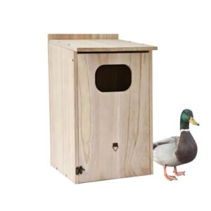Duck Nesting Box and Shelter