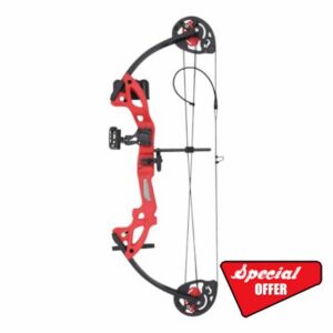 Youth Compound Bow and Arrow Set for Kids with Archery Accessories                                                          16 To 29 Lbs Draw Weight