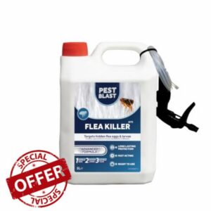 Flea Killer Spray for Home