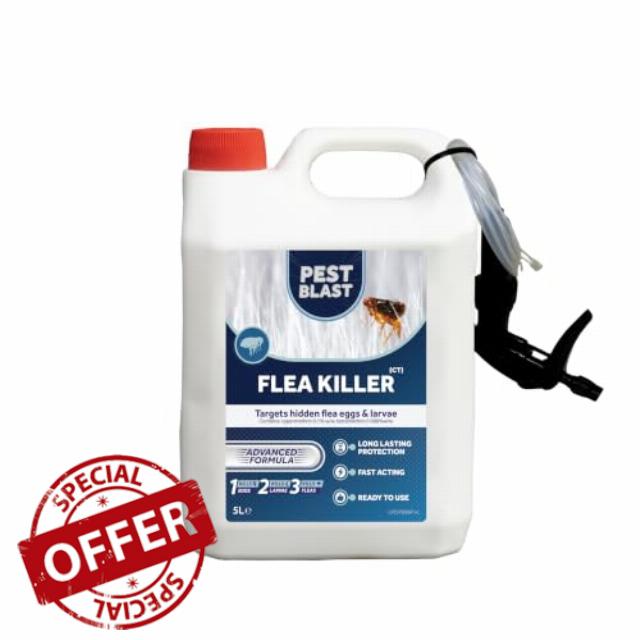 Flea Killer Spray for Home