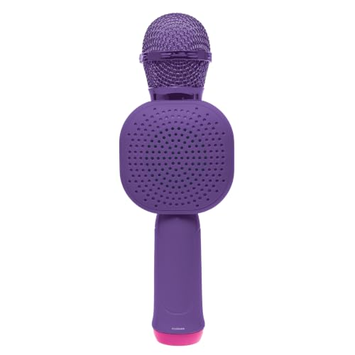 Karaoke Microphone