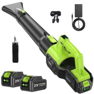 21V Brushless with 2 x 4.0Ah Batteries                                                          7 Speeds Including a Hidden Setting