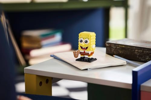 Display Model