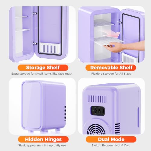 Skincare Fridge 110V AC/ 12V DC Thermoelectric Cooler&Warmer for Makeup