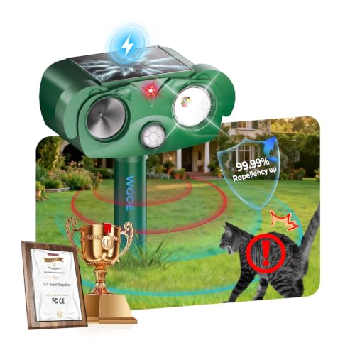 Lawns&Outdoor(Green)
