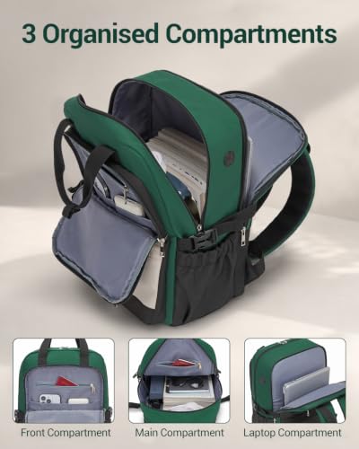 3 Compartments