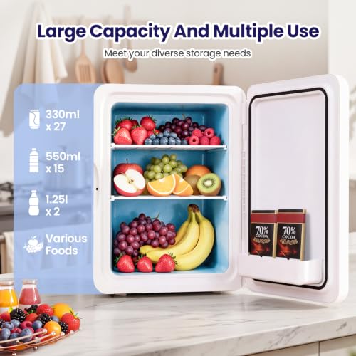 25L Small Car Fridges with Glass Door                                                          Skincare Beauty Fridge Refrigerator