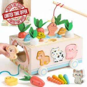 Wooden Montessori Toys for 1 Year Old Girl Boy