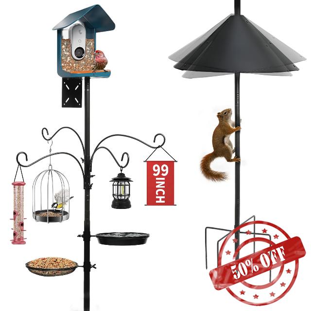 Bird Feeding Station