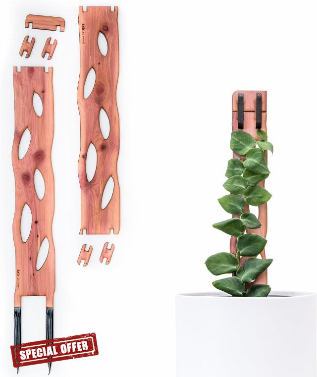 Treleaf Zella Regular Starter Kit – Wooden Extendable Plant Trellis for Indoor Climbing Houseplants – Modular Plant Support with 2 Bases + 2 Extensions - Moss Pole Alternative