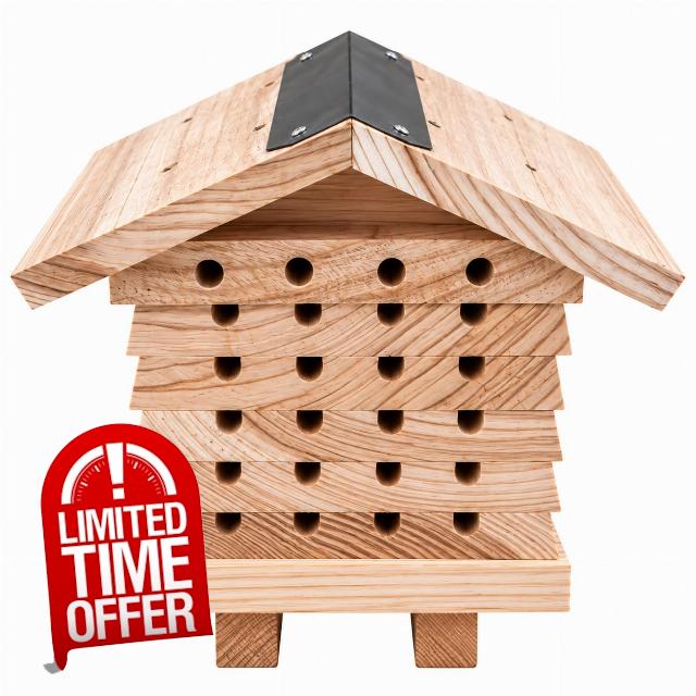 Amara Lane Interactive Wooden Bee House for Garden – Solitary Bee