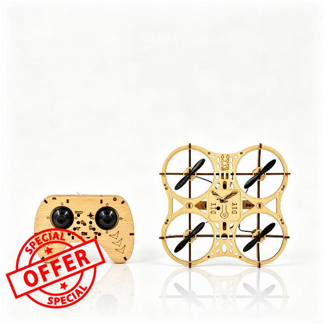 Wooden DIY RC Model Kit For Kids Adults Easy Control                                                          Natural Wood Build