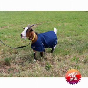 Ruggles Goat Coat - Waterproof Goat Rug (Navy