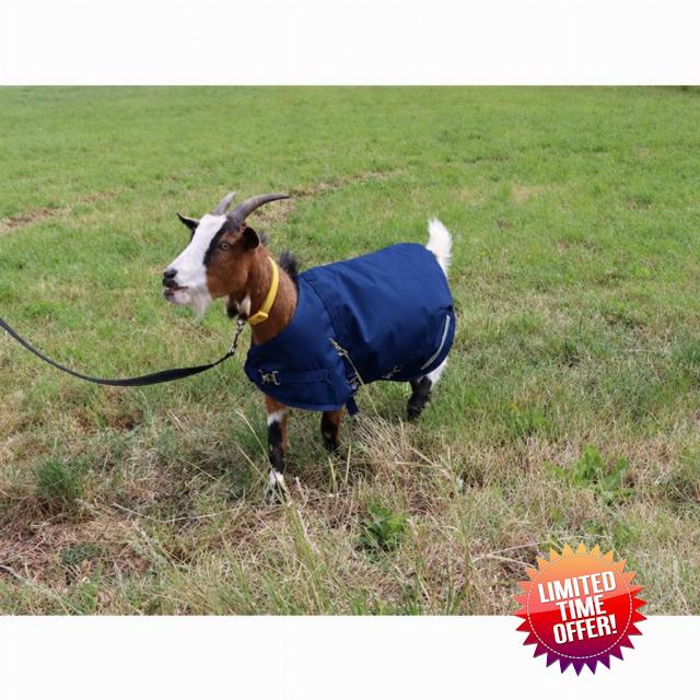 Ruggles Goat Coat - Waterproof Goat Rug (Navy