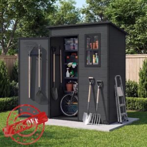 Aoxun 5x3 FT Plastic Shed with Floor Included
