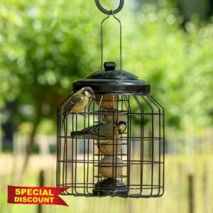 CJ Wildlife Fat Ball Feeder Hanging – Fatball Bird Feeder Fat Ball Holder – Large-Bird Resistant Squirrel-Resistant Metal Guardian Cage