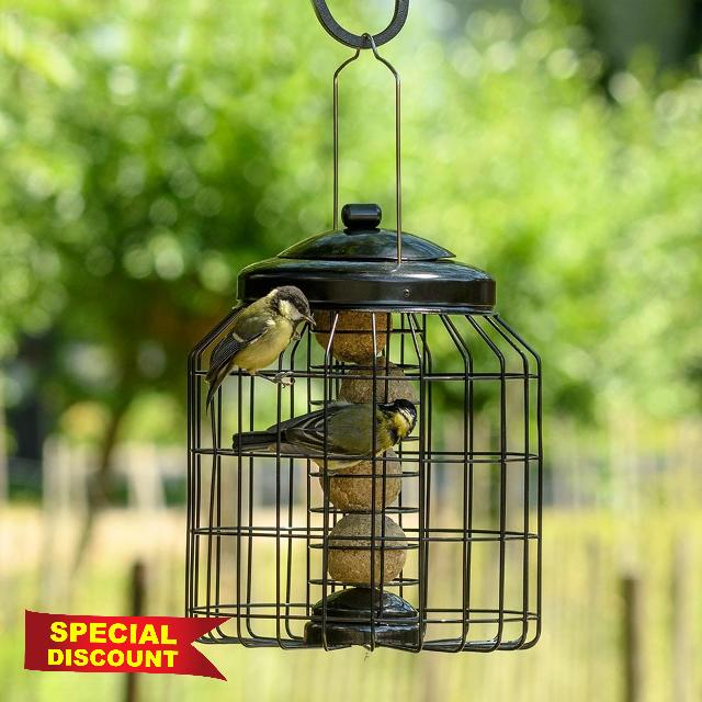 CJ Wildlife Fat Ball Feeder Hanging – Fatball Bird Feeder Fat Ball Holder – Large-Bird Resistant Squirrel-Resistant Metal Guardian Cage