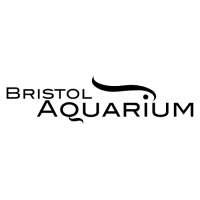 bristol-aquarium listed on couponmatrix.uk